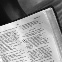 bible2